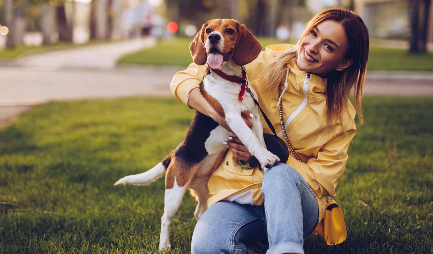 Del Estrés a la Calma: ¿Cómo Controlar la Ansiedad de mi Perro?